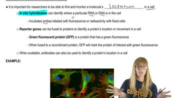 Tracking Proteins