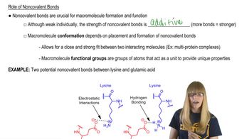 Noncovalent Bonds and Macromolecules