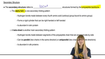 Secondary Structure