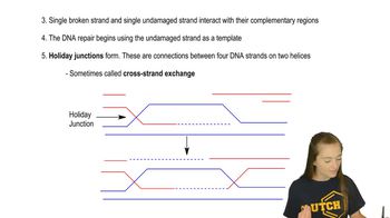 Homologous Recombination