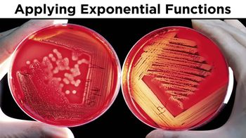 Evaluating and Graphing Exponential Functions