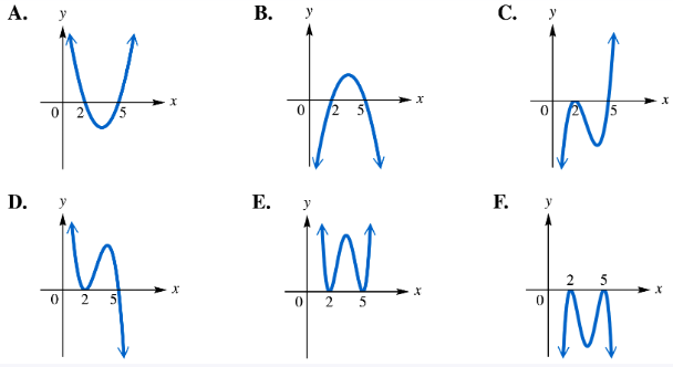Six graphs labeled A to F show different polynomial curves with x-intercepts at 2 and 5, illustrating various shapes and turning points.