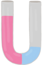 U-tube featuring pink solution on the left and blue water on the right, for osmosis study.