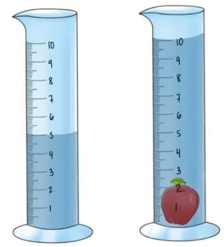 Two graduated cylinders with water levels, one with an apple submerged, illustrating density measurement.