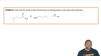 Amide Formation Example