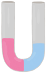 U-tube displaying pink solution on the left and blue distilled water on the right, for osmosis study.