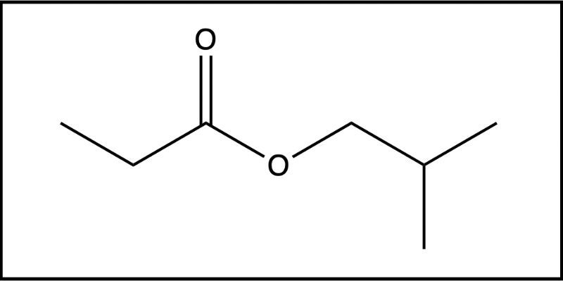 Alternative view of isobutyl propionate, emphasizing the ester functional groups.