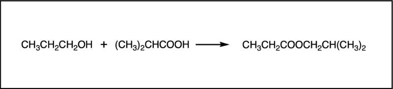 Esterification reaction forming isobutyl propionate from alcohol and carboxylic acid.