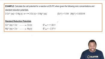 The Nernst Equation Example