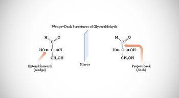 Fischer Projections of Monosaccharides