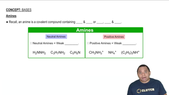 Amines as Acids and Bases