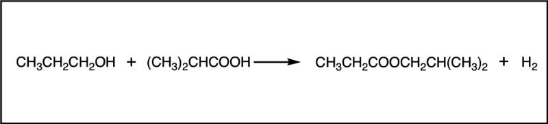 Esterification reaction producing isobutyl propionate from alcohol and carboxylic acid.