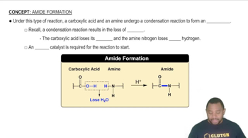 Amide Formation