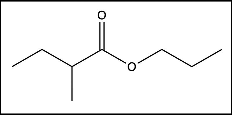 Detailed structure of isobutyl propionate, illustrating its carbon and oxygen arrangement.