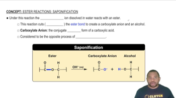 Ester Reactions: Saponification