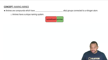 Rules for Naming Amines