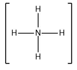 Lewis Dot Structure of NH4 with four hydrogen atoms bonded to nitrogen.