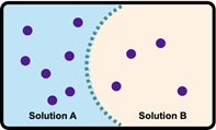 Illustration showing water flow direction between Solution A and Solution B across a semipermeable membrane.