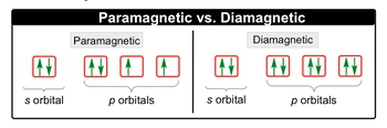 Diamagnetic meaning outlet