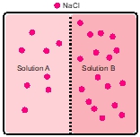 Illustration showing NaCl particles in Solution A and B separated by a semipermeable membrane.