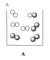 Container A shows shaded A2 and unshaded B2 gas molecules for Le Chatelier's Principle.