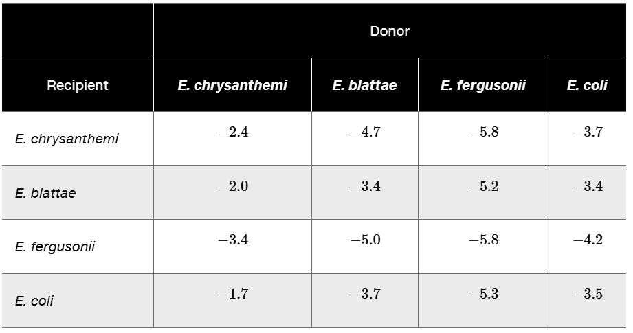 Table showing log base 10 rates of plasmid transfer between four Escherichia species as donors and recipients.