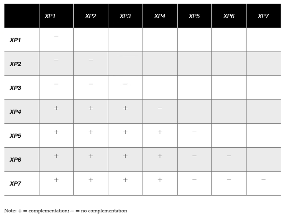 Table showing complementation results among seven XP cell strains, indicating four distinct complementation groups.