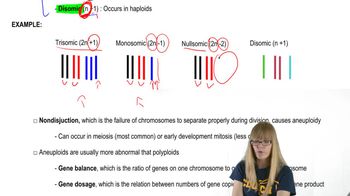 Aneuploidy