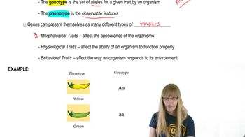 Descriptive Genetics