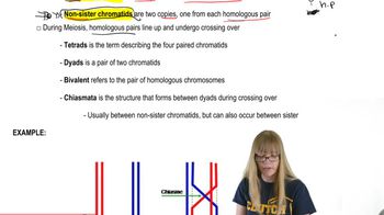 Crossing Over Terminology