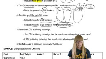 QTL Mapping