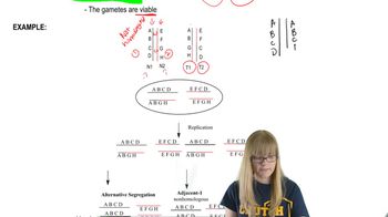 Reciprocal Translocation