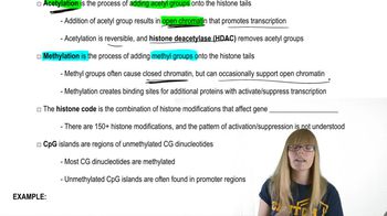 Histone Protein Modifications