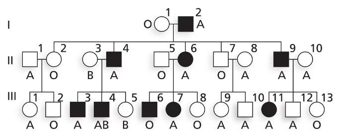 Pedigree chart illustrating the inheritance of nail–patella syndrome and ABO blood types across three generations.
