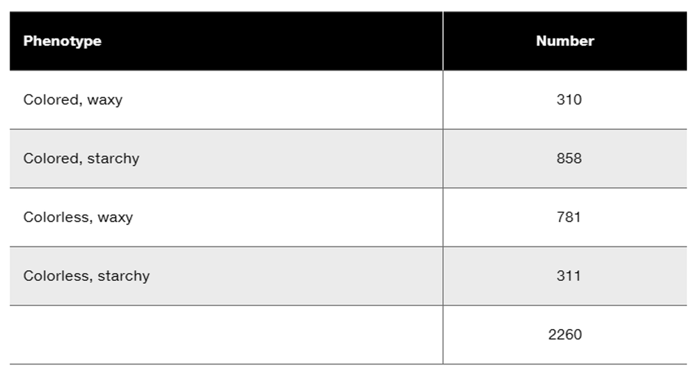 Table displaying phenotypes and their corresponding numbers from genetic mapping experiments in corn.