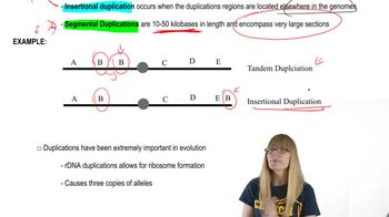 Duplications