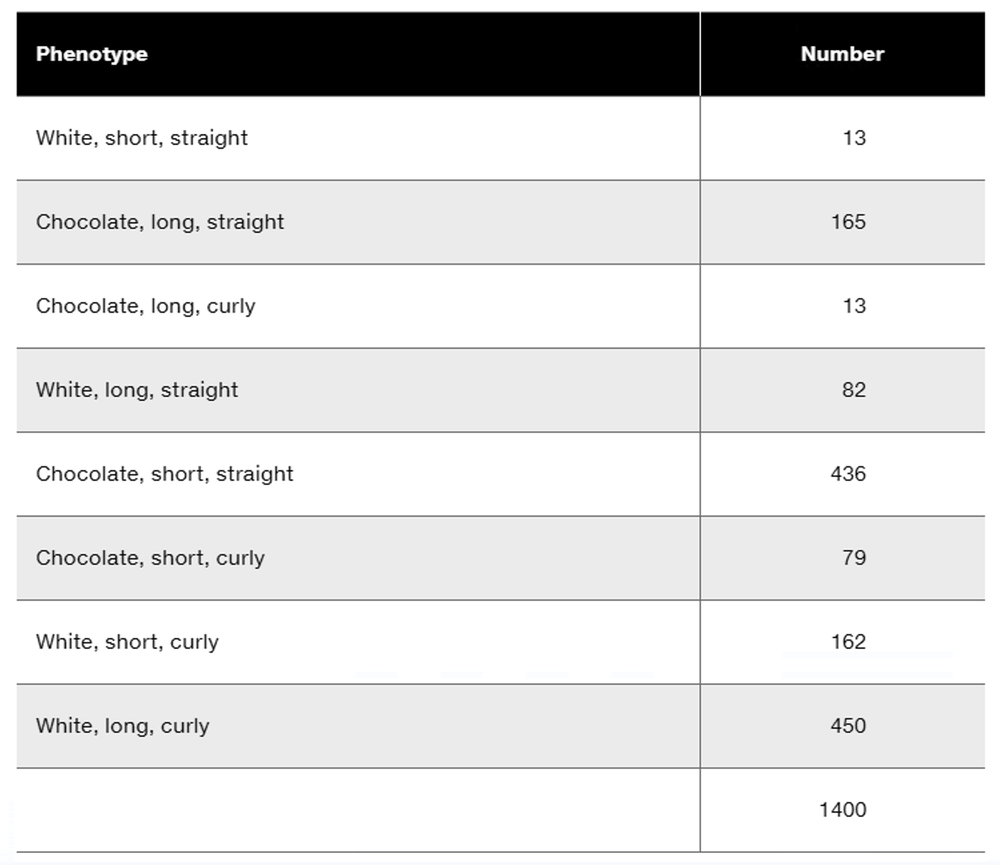 Table displaying phenotypes and their corresponding numbers from a trihybrid rabbit cross experiment.