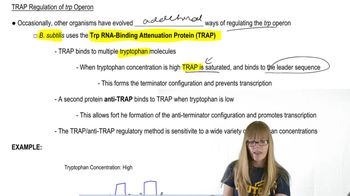 Alternative trp regulation