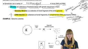 Methods for Analyzing DNA and RNA