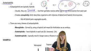 Autopolyploidy