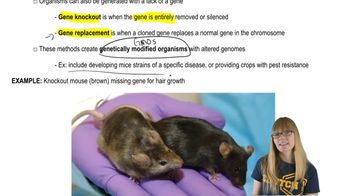 Transgenic Organisms and Gene Therapy