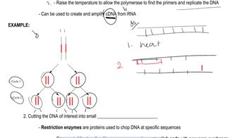 Genetic Cloning