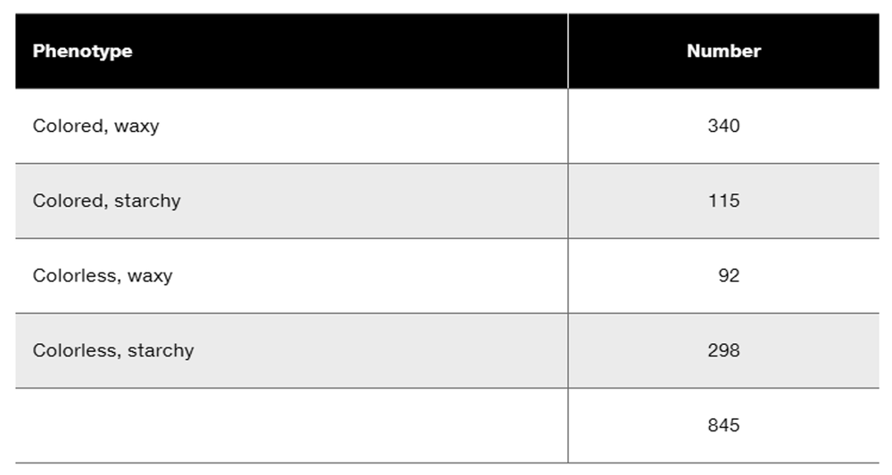 Table displaying phenotypes and their corresponding numbers: Colored, waxy 340; Colored, starchy 115; Colorless, waxy 92; Colorless, starchy 298.