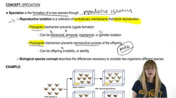 Speciation