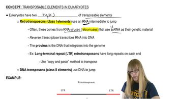 Eukaryotic Transposable Elements