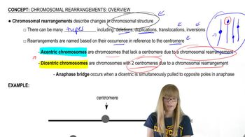 Rearrangement Overview