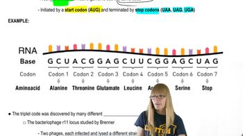 The Genetic Code