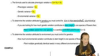 Analyzing Trait Variance