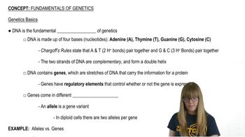Genetics Video Tutorial & Practice | Channels for Pearson+