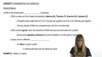 Genetics Basics